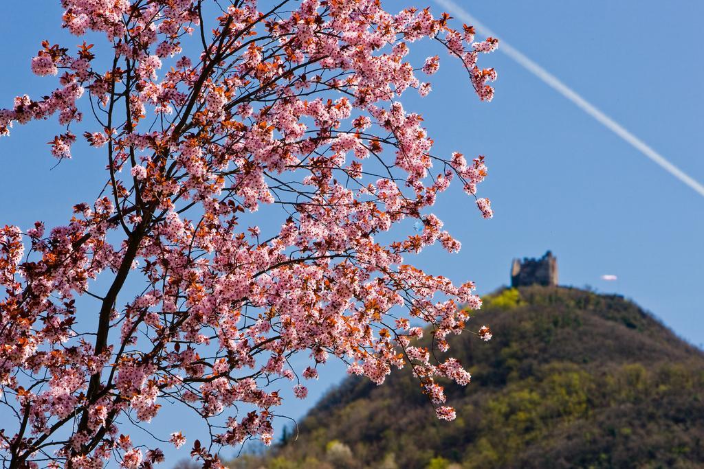 Seegarten Caldaro Buitenkant foto